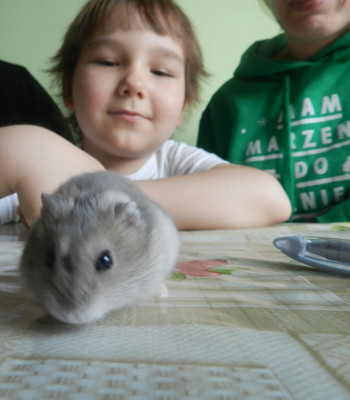 Igor